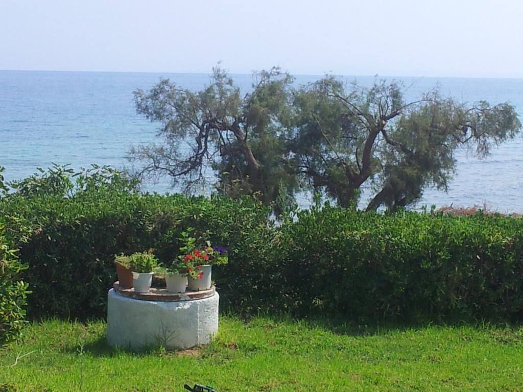Beach Bungalows Kypseli Rum bild