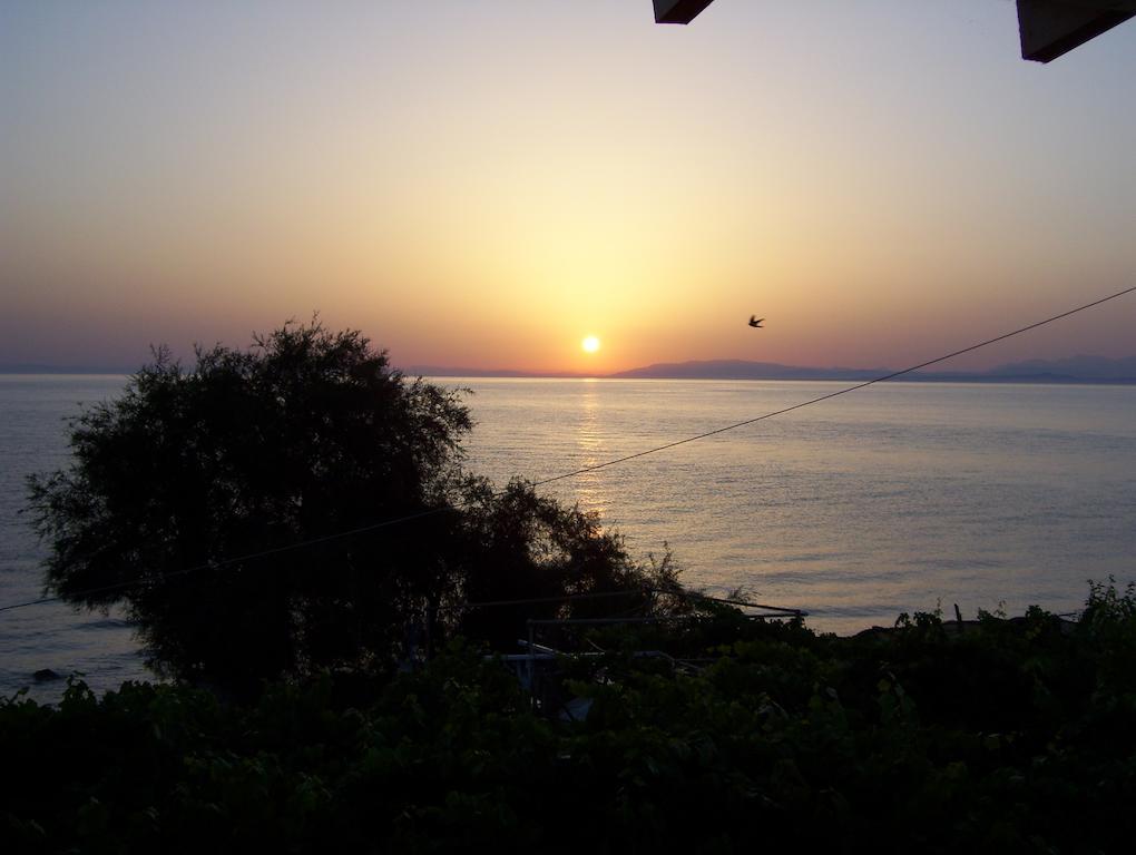 Beach Bungalows Kypseli Rum bild